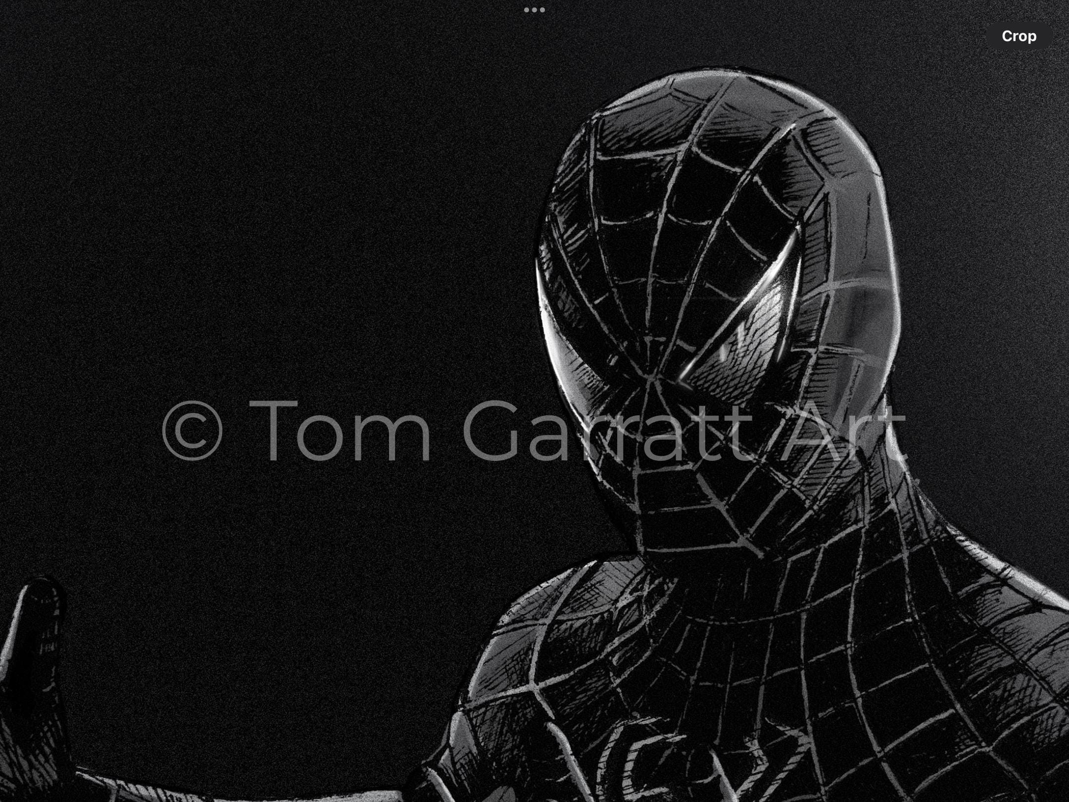 SYMBIOTE SPIDER-MAN - Pen Art Print