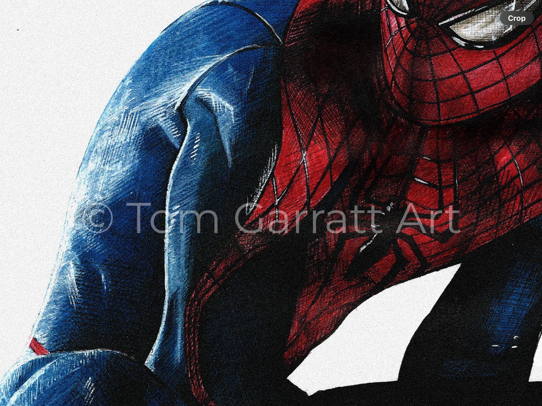 THE AMAZING SPIDER-MAN - Pen Art Print
