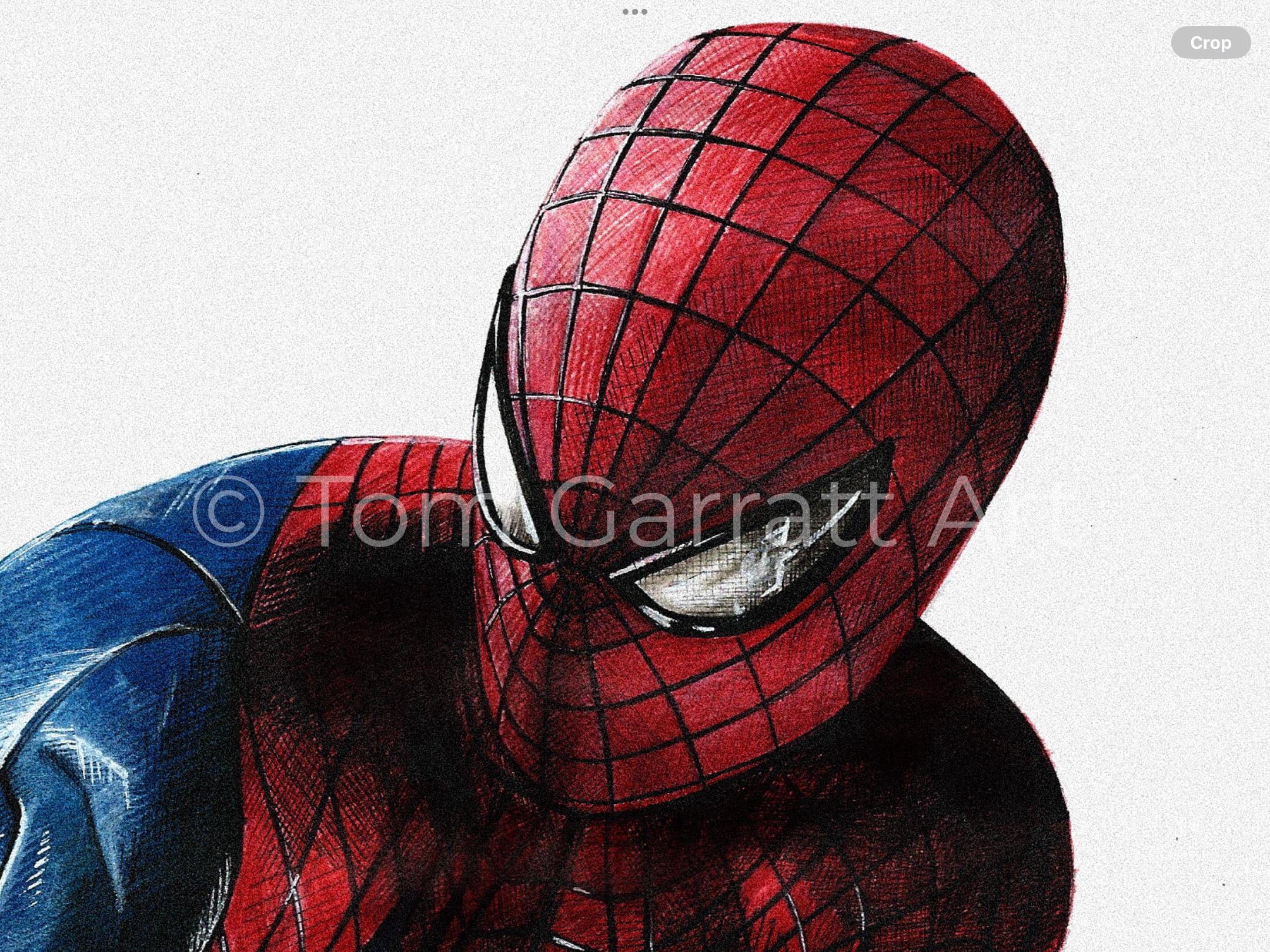 THE AMAZING SPIDER-MAN - Pen Art Print
