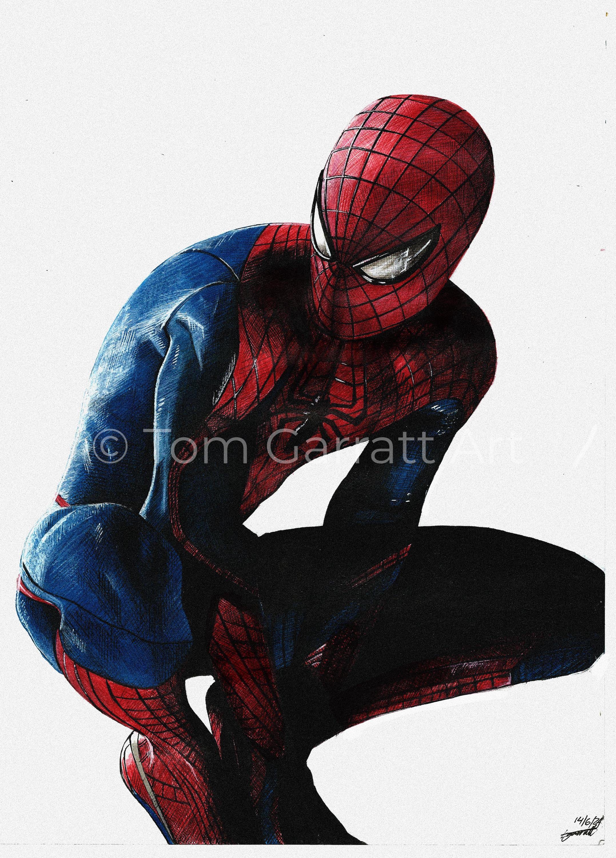 THE AMAZING SPIDER-MAN - Pen Art Print